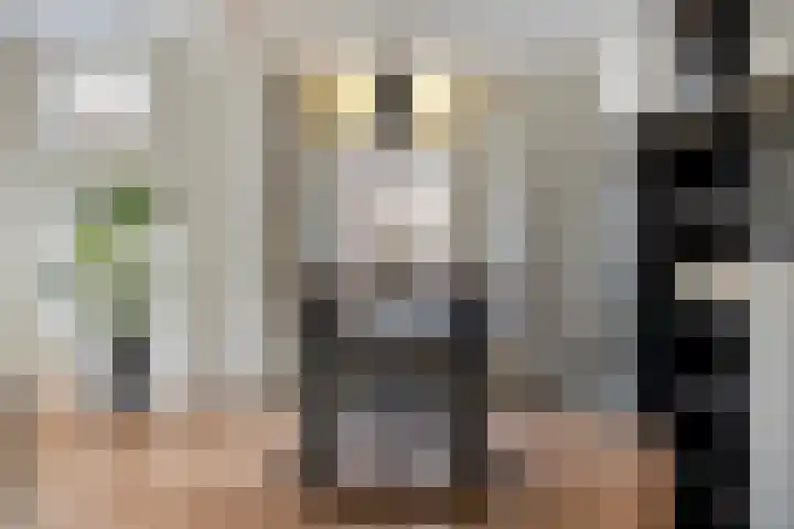 Grindweg 66 A Wolvega thumbnail 7
