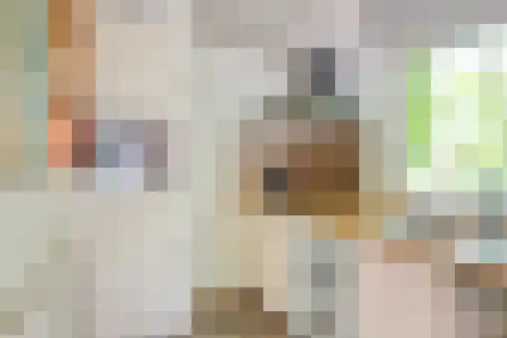 Grindweg 80 Munnekeburen thumbnail 15