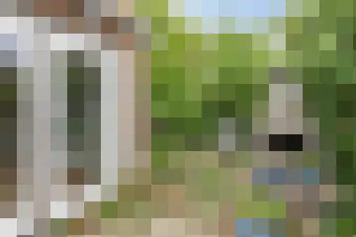 Grindweg 80 Munnekeburen thumbnail 27