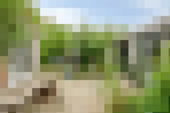 Grindweg 80 Munnekeburen thumbnail 29