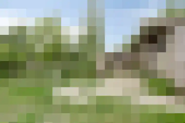 Grindweg 80 Munnekeburen thumbnail 34