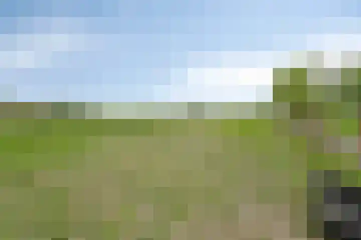 Grindweg 80 Munnekeburen thumbnail 35