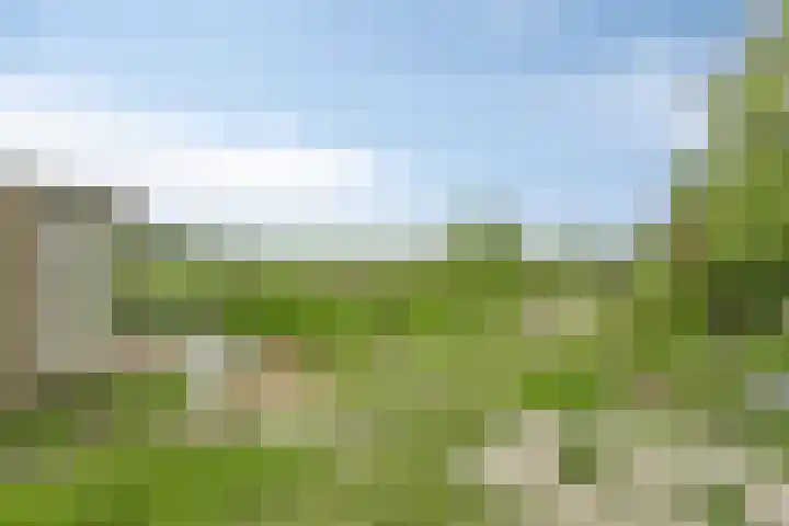 Grindweg 80 Munnekeburen thumbnail 36