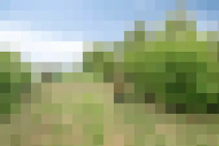 Grindweg 80 Munnekeburen thumbnail 37