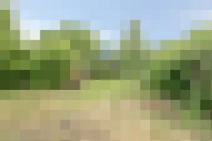 Grindweg 80 Munnekeburen thumbnail 38