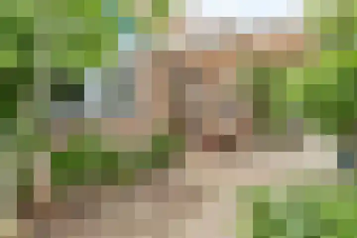 Grindweg 80 Munnekeburen thumbnail 4