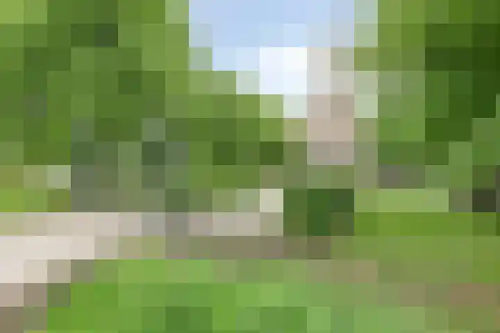 Grindweg 80 Munnekeburen thumbnail 40
