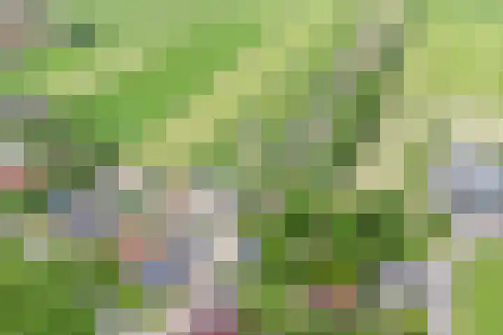 Grindweg 80 Munnekeburen thumbnail 42