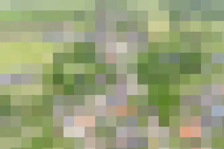 Grindweg 80 Munnekeburen thumbnail 44