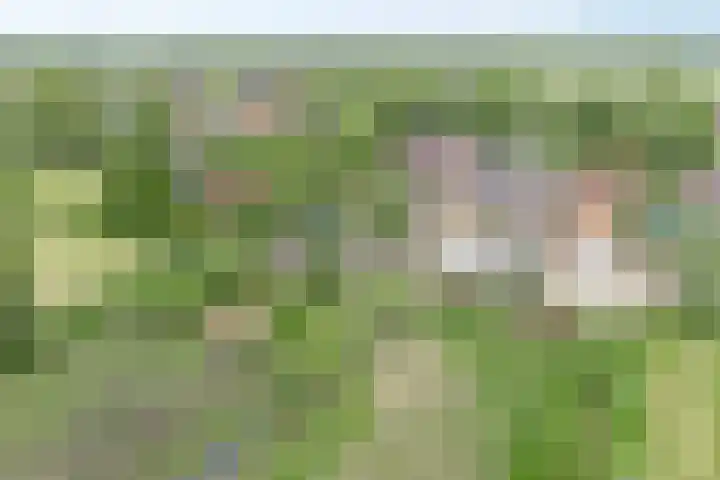Grindweg 80 Munnekeburen thumbnail 46