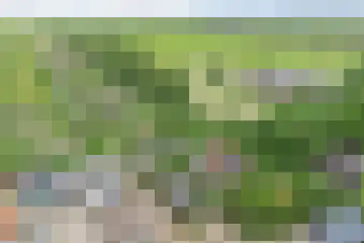 Grindweg 80 Munnekeburen thumbnail 47