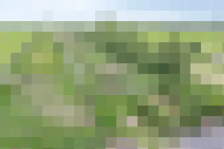 Grindweg 80 Munnekeburen thumbnail 48