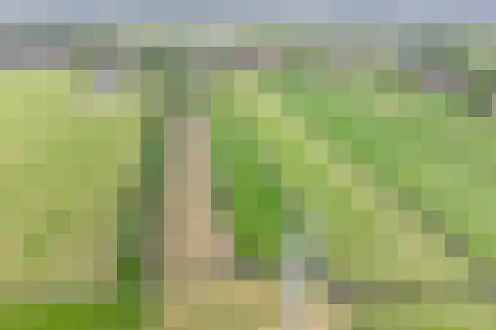 Grindweg 80 Munnekeburen thumbnail 49
