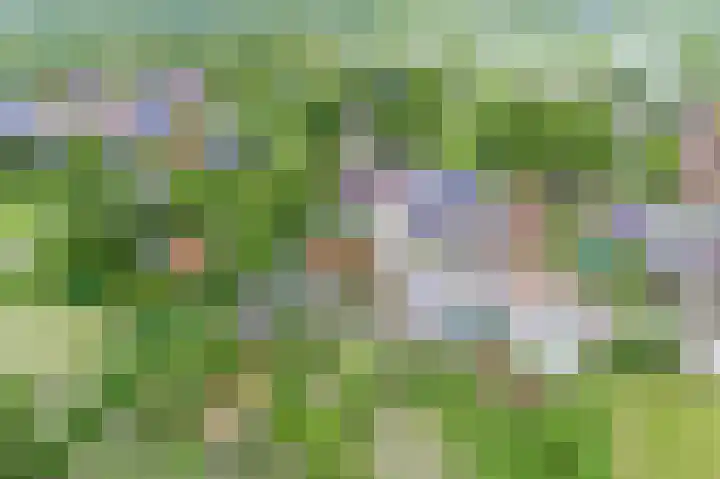 Grindweg 80 Munnekeburen thumbnail 59