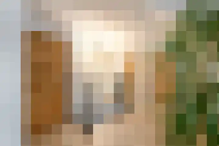 Grindweg 84 Wolvega thumbnail 19