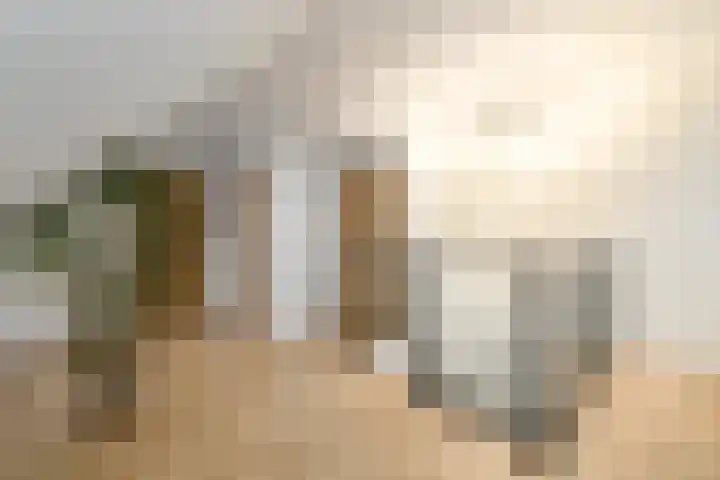 Grindweg 84 Wolvega thumbnail 21