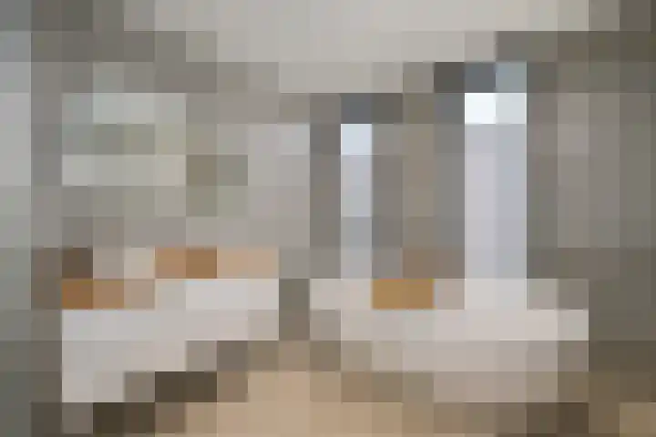 Grindweg 84 Wolvega thumbnail 32