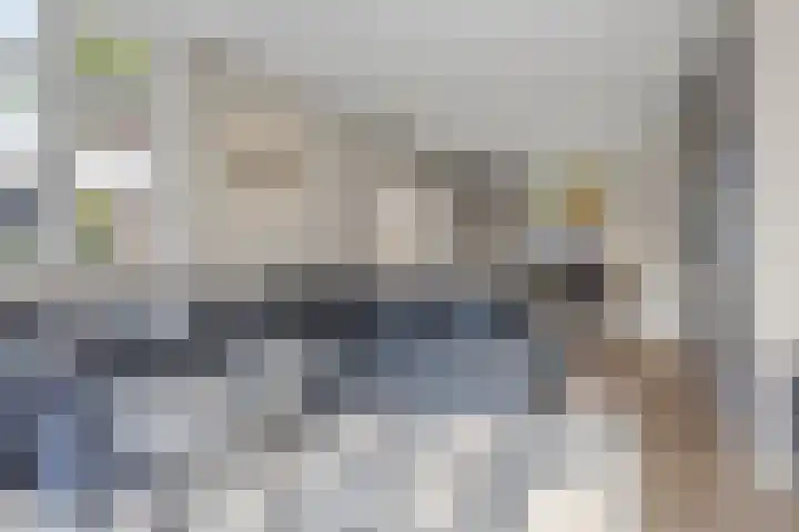 Grinsel 21 Den Dungen thumbnail 13