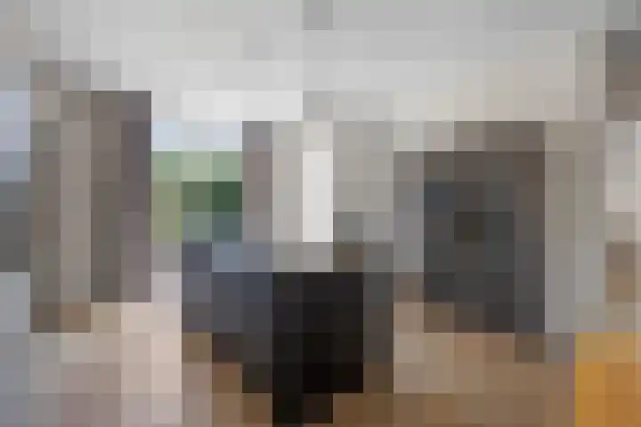 Grinsel 21 Den Dungen thumbnail 16
