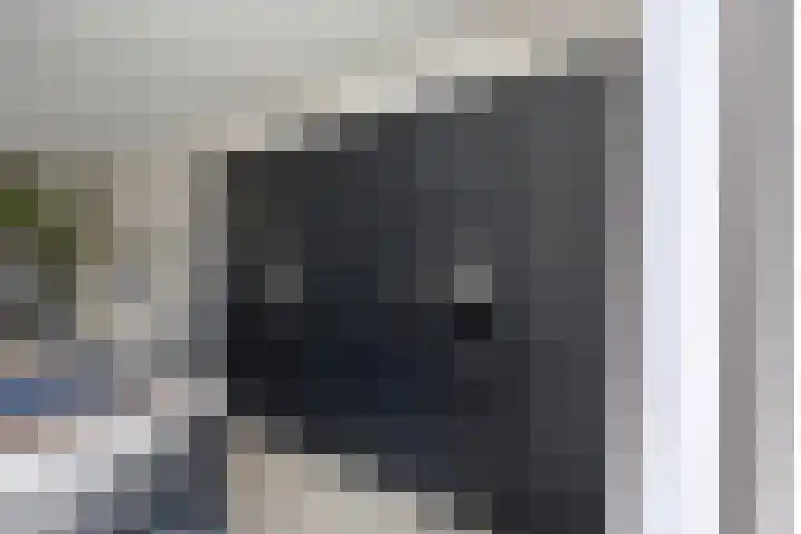 Grinsel 21 Den Dungen thumbnail 18
