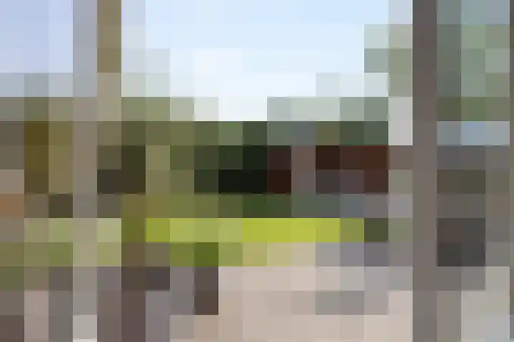 Grinsel 21 Den Dungen thumbnail 19