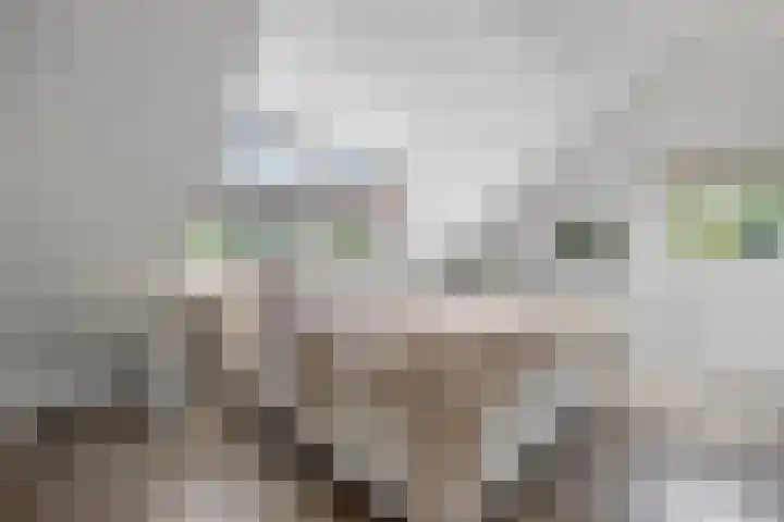 Grinsel 21 Den Dungen thumbnail 22
