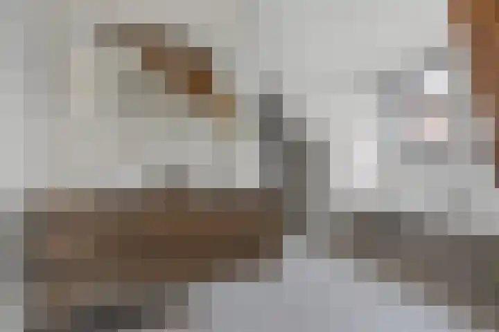 Grinsel 21 Den Dungen thumbnail 25
