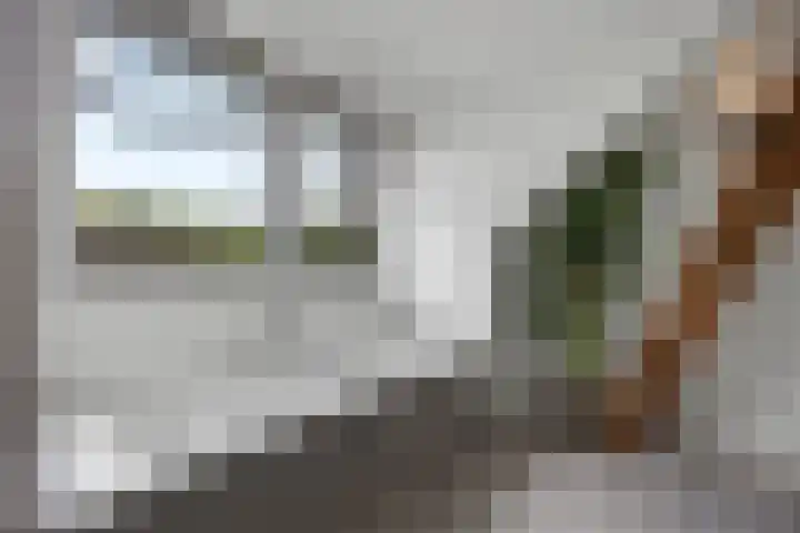 Grinsel 21 Den Dungen thumbnail 26