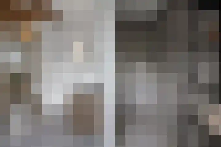 Grinsel 21 Den Dungen thumbnail 27