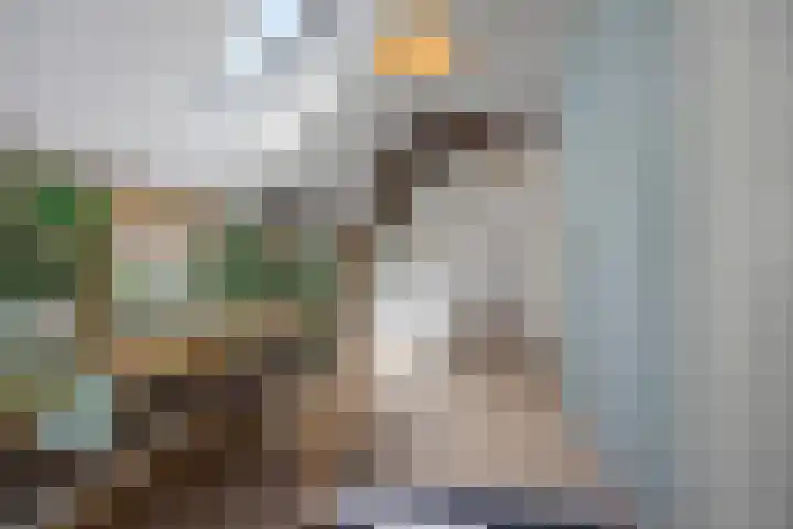 Grinsel 21 Den Dungen thumbnail 29