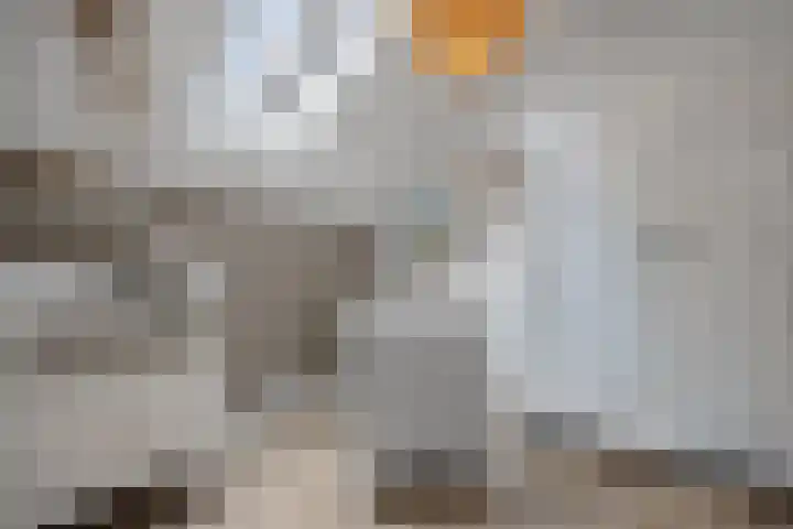 Grinsel 21 Den Dungen thumbnail 30