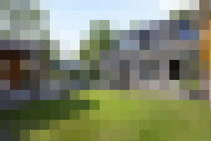 Grinsel 21 Den Dungen thumbnail 32
