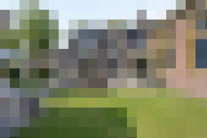 Grinsel 21 Den Dungen thumbnail 33