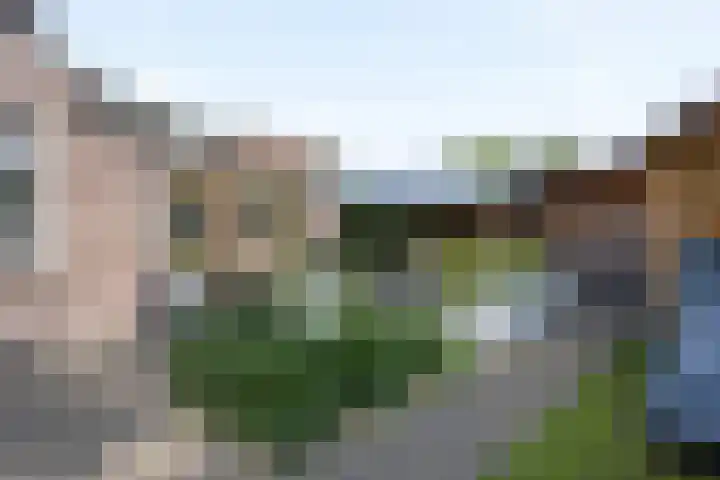 Grinsel 21 Den Dungen thumbnail 34