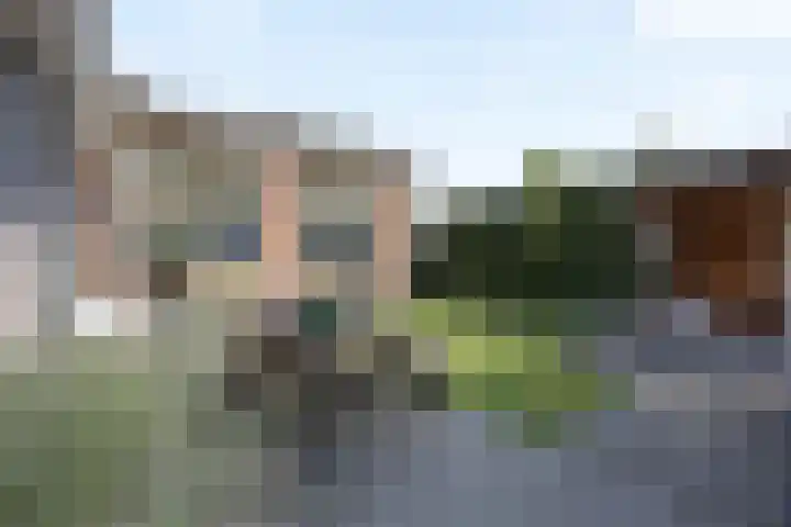 Grinsel 21 Den Dungen thumbnail 35