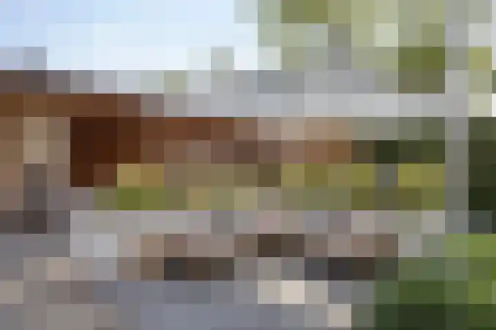 Grinsel 21 Den Dungen thumbnail 36