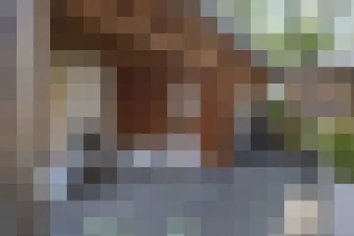 Grinsel 21 Den Dungen thumbnail 37