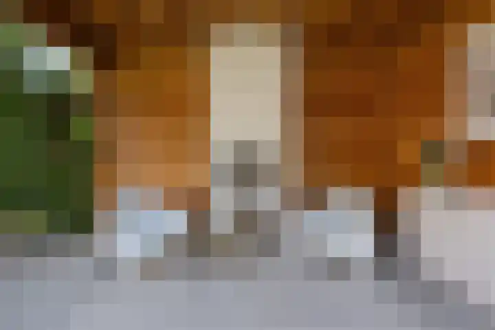 Grinsel 21 Den Dungen thumbnail 38