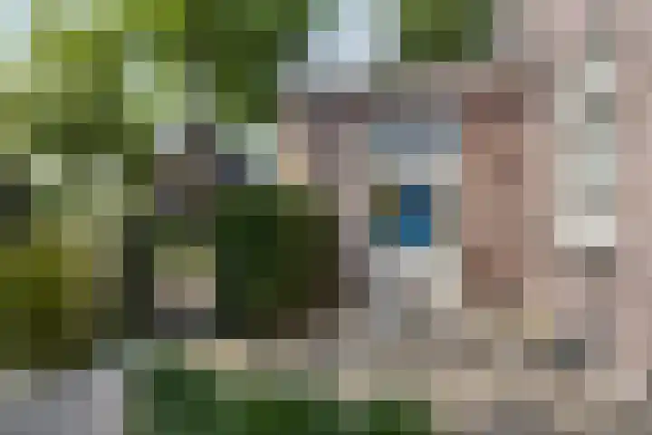 Grinsel 21 Den Dungen thumbnail 39