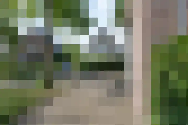 Grinsel 21 Den Dungen thumbnail 40