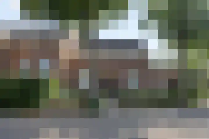 Grinsel 21 Den Dungen thumbnail 41