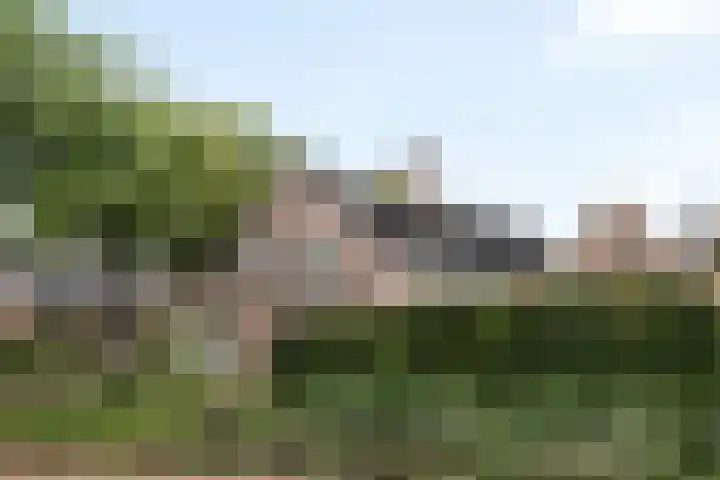 Grinsel 21 Den Dungen thumbnail 42