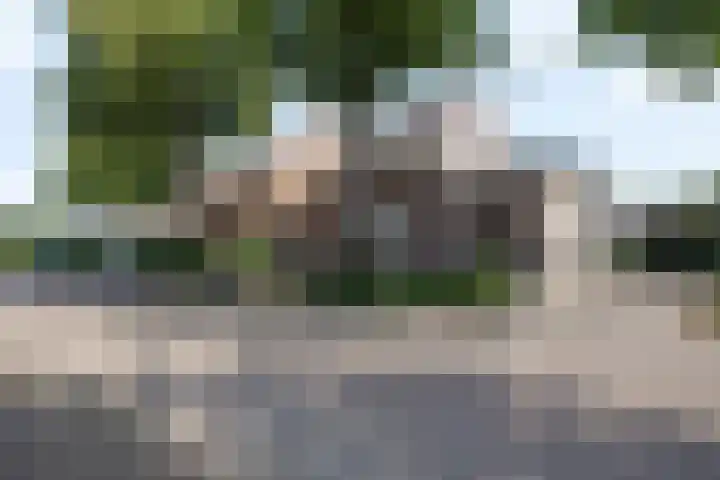 Grinsel 21 Den Dungen thumbnail 43
