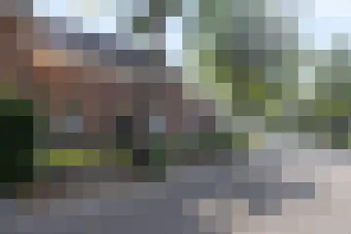 Grinsel 21 Den Dungen thumbnail 44