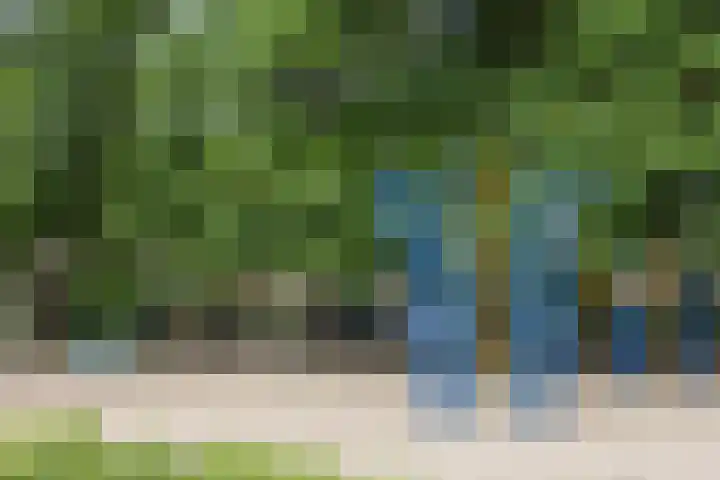 Grinsel 21 Den Dungen thumbnail 46