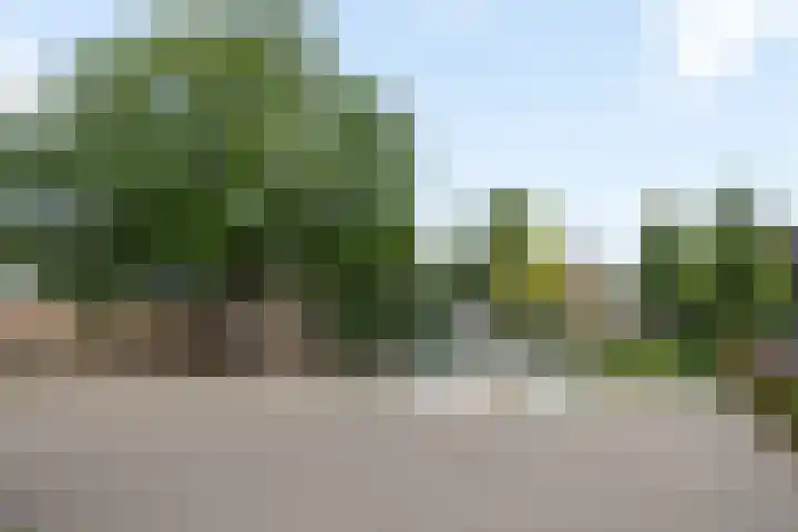 Grinsel 21 Den Dungen thumbnail 47