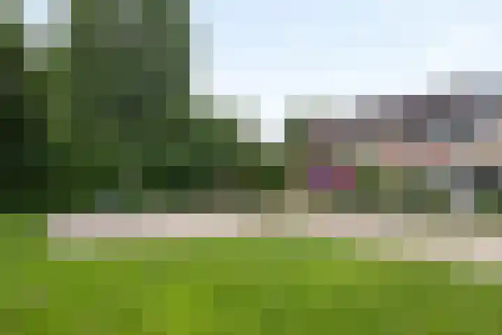 Grinsel 21 Den Dungen thumbnail 48