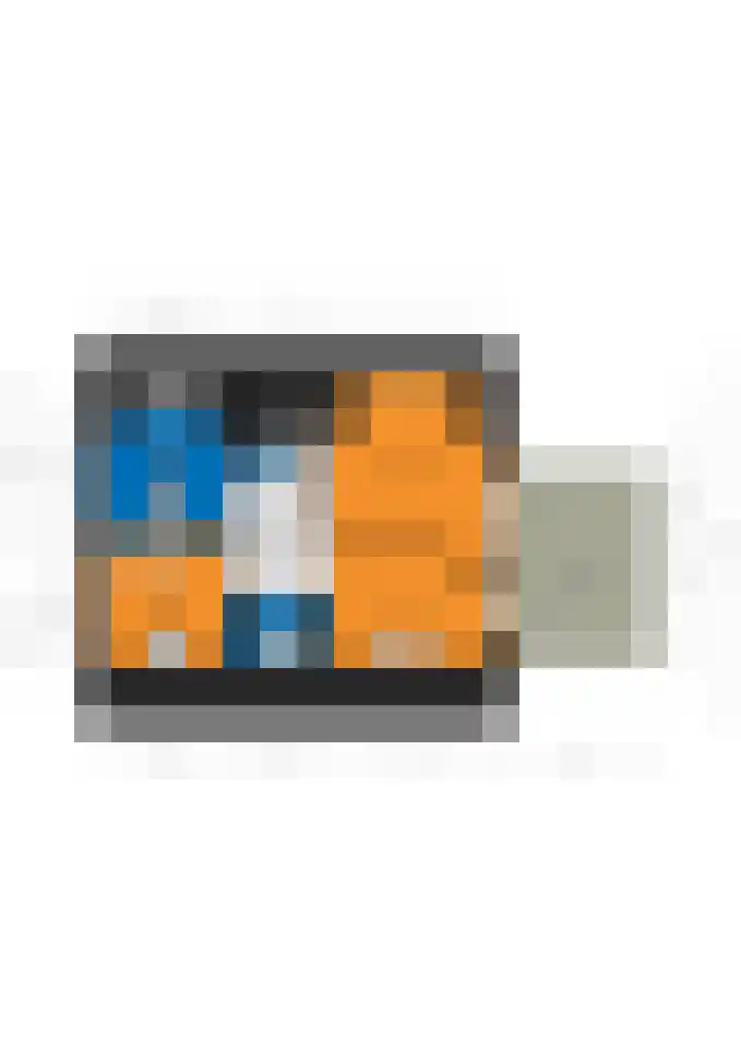 Grinsel 21 Den Dungen thumbnail 50
