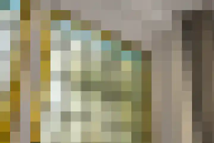 Grinsel 21 Den Dungen thumbnail 8