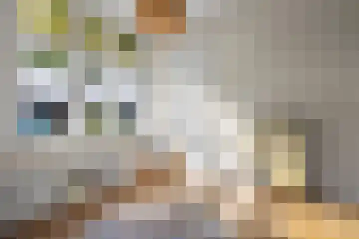 Grinsel 21 Den Dungen thumbnail 9